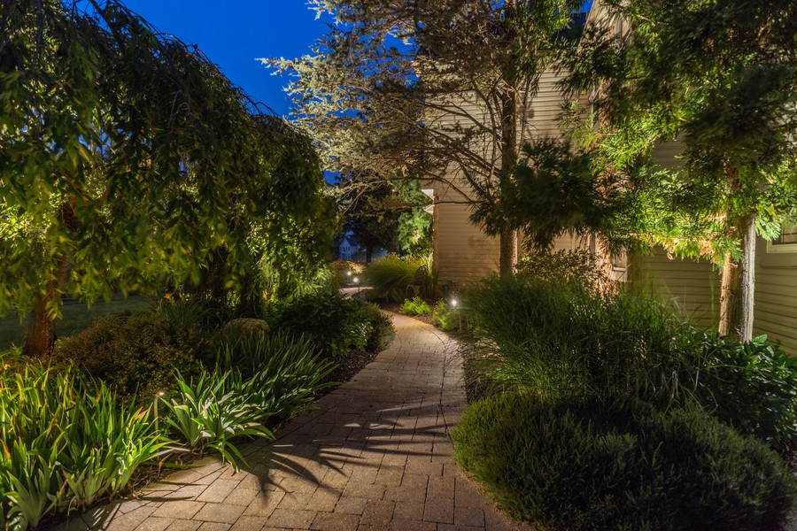 Nighttime view of a landscaped pathway illuminated by small ground lights, showcasing a variety of lush plants and trees along the curved walk leading to a house.